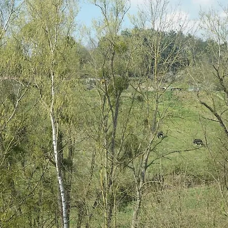 Дом отдыха Nature Getaway Mazee