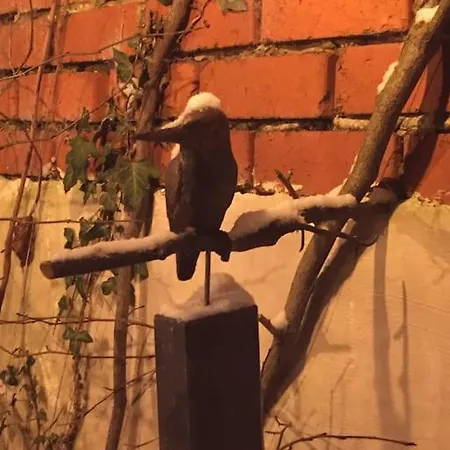 Nature Getaway * Mazee